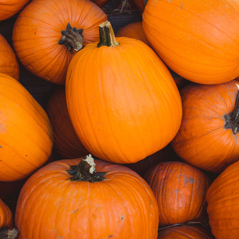10 great ideas for your leftover pumpkin